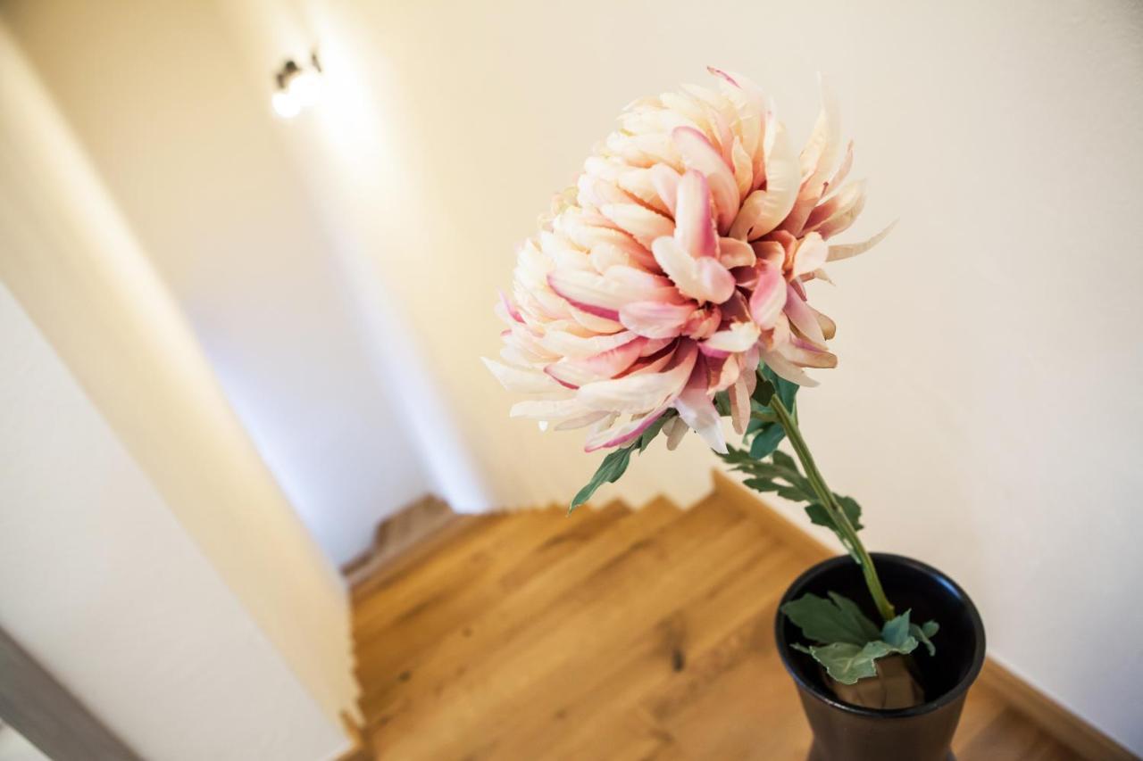 Zazi Apartmany Mýto pod Ďumbierom Buitenkant foto